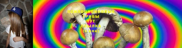 соль ск Белоозёрский