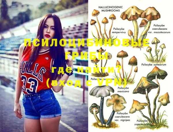 соль ск Белоозёрский