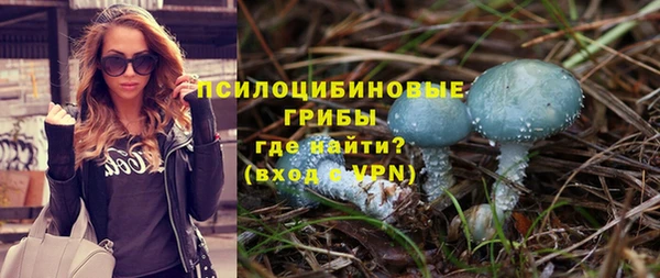 эйфоретик Белокуриха